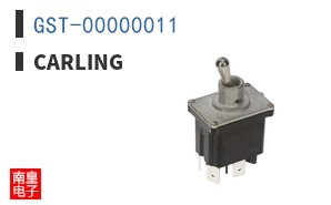 GST-00000011