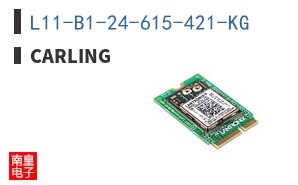 L11-B1-24-615-421-KG