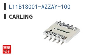 L11B1S001-AZZAY-100