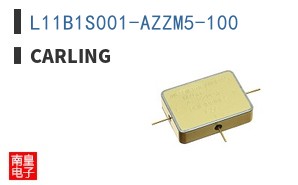 L11B1S001-AZZM5-100