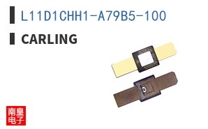 L11D1CHH1-A79B5-100