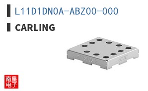 L11D1DN0A-ABZ00-000