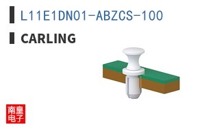 L11E1DN01-ABZCS-100