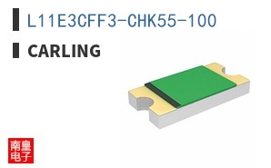 L11E3CFF3-CHK55-100