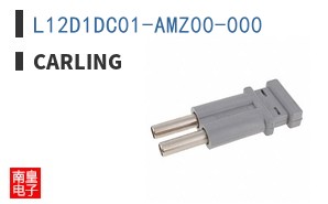 L12D1DC01-AMZ00-000