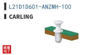 L21D1D601-ANZMH-100