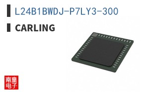 L24B1BWDJ-P7LY3-300