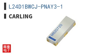 L24D1BWCJ-PNAY3-1