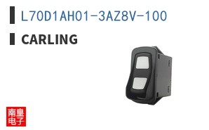 L70D1AH01-3AZ8V-100