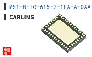 MS1-B-10-615-2-1FA-A-0AA
