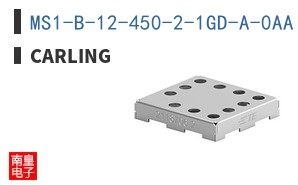MS1-B-12-450-2-1GD-A-0AA