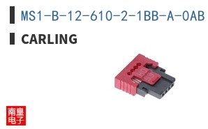 MS1-B-12-610-2-1BB-A-0AB