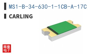 MS1-B-34-630-1-1CB-A-17C