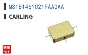 MS1B1461021FAA0AA
