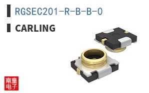 RGSEC201-R-B-B-0
