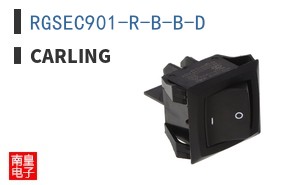 RGSEC901-R-B-B-D