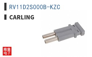 RV11D2S000B-KZC