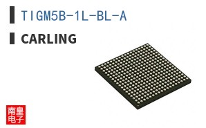 TIGM5B-1L-BL-A