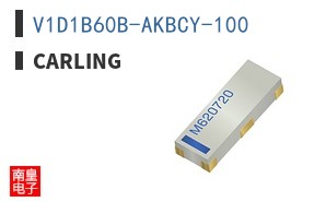 V1D1B60B-AKBCY-100