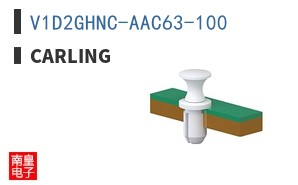 V1D2GHNC-AAC63-100