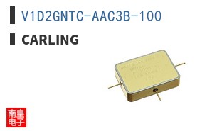 V1D2GNTC-AAC3B-100