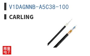 V1DAGNNB-A5C38-100