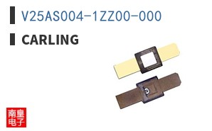 V25AS004-1ZZ00-000