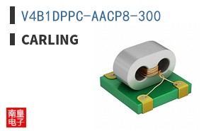 V4B1DPPC-AACP8-300