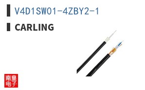 V4D1SW01-4ZBY2-1