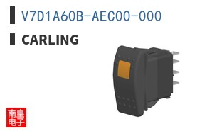 V7D1A60B-AEC00-000