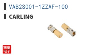 VAB2S001-1ZZAF-100