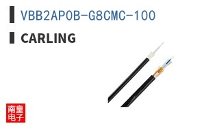 VBB2AP0B-G8CMC-100