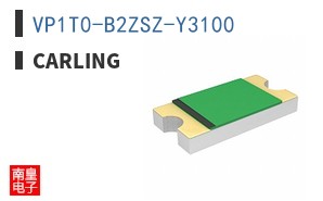 VP1T0-B2ZSZ-Y3100