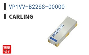 VP1VV-B22SS-00000