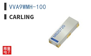 VVA9WMH-100