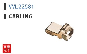 VVL22581