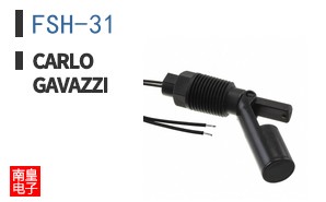FSH-31