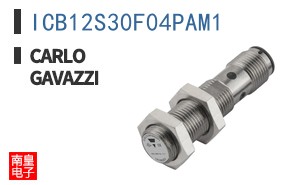 ICB12S30F04PAM1
