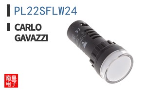 PL22SFLW24