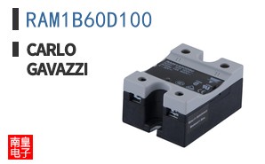 RAM1B60D100