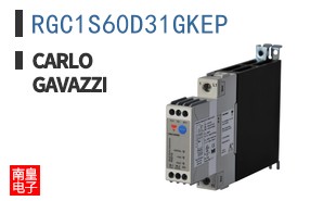 RGC1S60D31GKEP