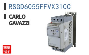 RSGD6055FFVX310C
