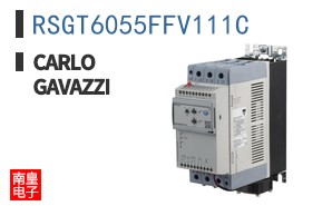 RSGT6055FFV111C