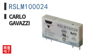 RSLM100024