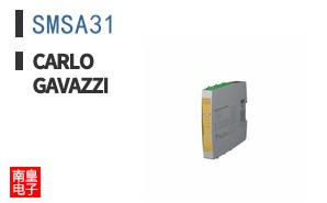SMSA31