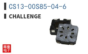 CS13-00S85-04-6