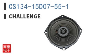 CS134-15D07-55-1
