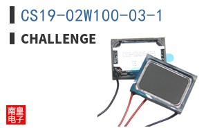 CS19-02W100-03-1