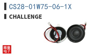 CS28-01W75-06-1X