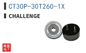 CT30P-30T260-1X
